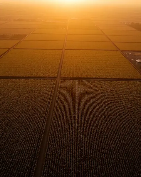 Operações Agro